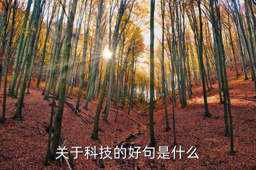 關(guān)于科技的好句是什么