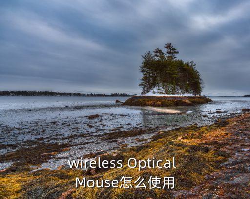 wireless Optical Mouse怎么使用