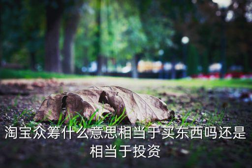 淘寶眾籌什么意思相當(dāng)于買東西嗎還是相當(dāng)于投資
