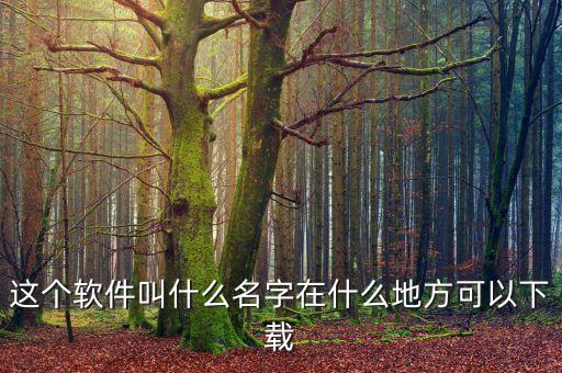 這個(gè)軟件叫什么名字在什么地方可以下載