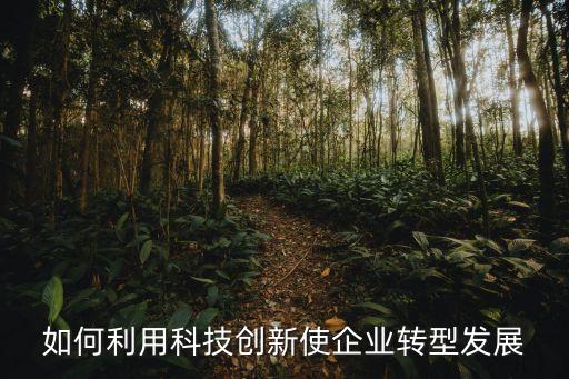如何利用科技創(chuàng)新使企業(yè)轉(zhuǎn)型發(fā)展