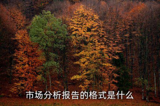 市場分析報告的格式是什么