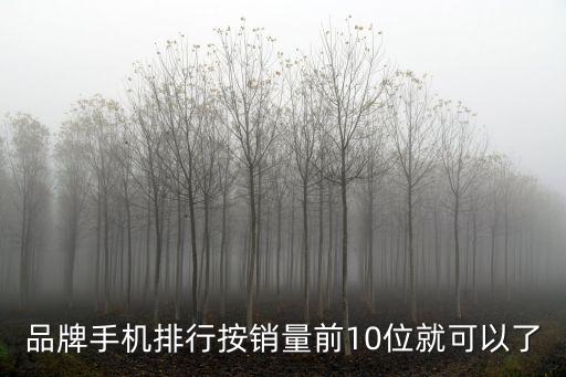 品牌手機排行按銷量前10位就可以了