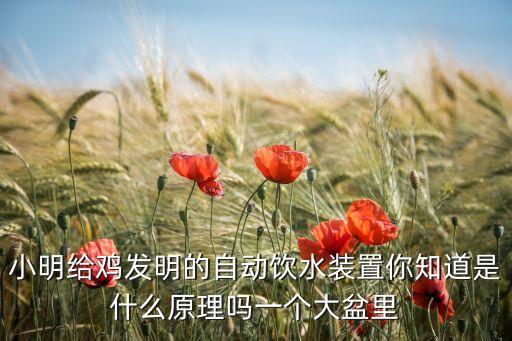 自動飲水裝置，小明給雞發(fā)明的自動飲水裝置你知道是什么原理嗎一個大盆里