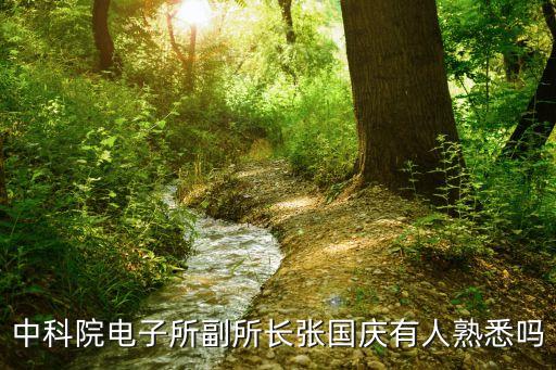 中科院電子所副所長(zhǎng)張國(guó)慶有人熟悉嗎