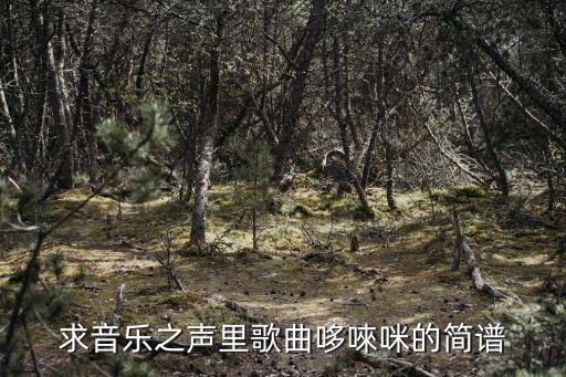 音樂(lè)之聲哆來(lái)咪簡(jiǎn)譜，求音樂(lè)之聲里歌曲哆唻咪的簡(jiǎn)譜