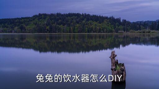 兔兔的飲水器怎么DIY