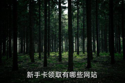 新手卡領(lǐng)取有哪些網(wǎng)站