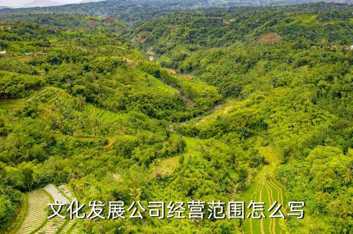 文化發(fā)展有限公司營(yíng)業(yè)范圍，請(qǐng)問(wèn)文化產(chǎn)業(yè)發(fā)展有限公司的經(jīng)營(yíng)范圍都有那些