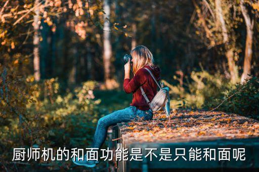 廚師機(jī)的和面功能是不是只能和面呢