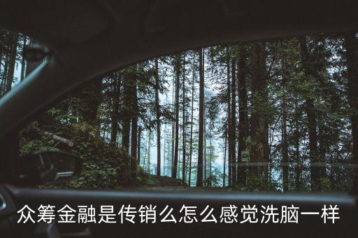 眾籌金融是傳銷么怎么感覺洗腦一樣