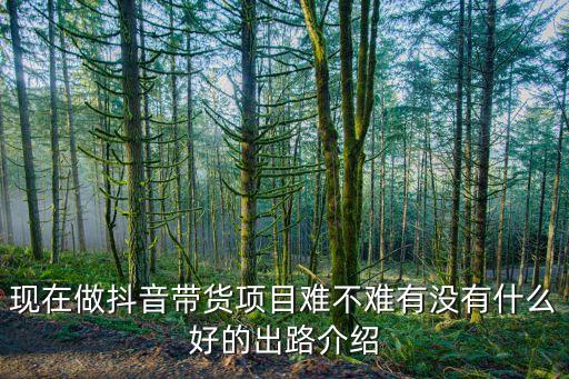 目前抖音帶貨最好走的商品，網(wǎng)紅抖音直播帶貨在哪能找到適合的商品