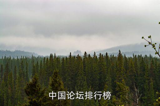 中國(guó)論壇排行榜