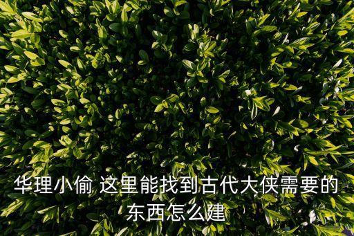 華理小偷 這里能找到古代大俠需要的東西怎么建