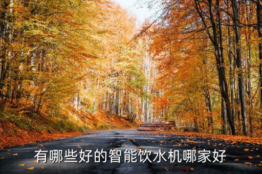全自動智能飲水機什么牌子好，全自動節(jié)能飲水機批發(fā)哪個牌子的好