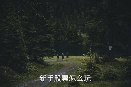 新手股票怎么玩