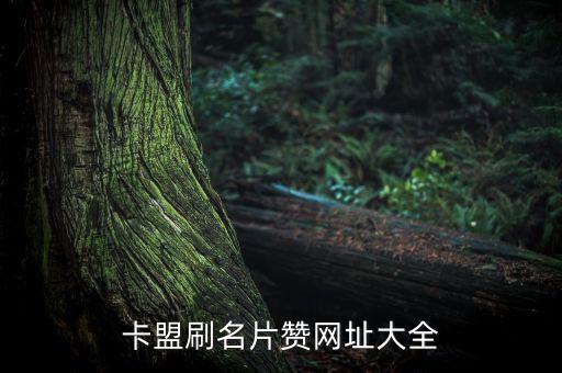 卡盟刷名片贊網(wǎng)址大全