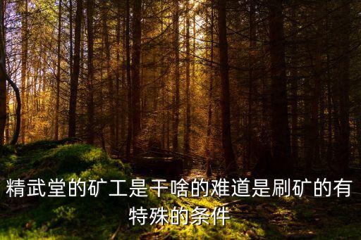 精武堂的礦工是干啥的難道是刷礦的有特殊的條件