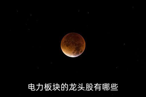 電力板塊的龍頭股有哪些