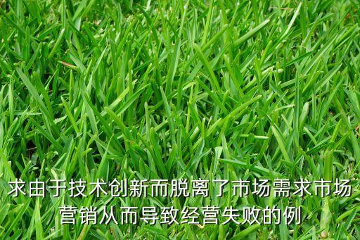 求由于技術(shù)創(chuàng)新而脫離了市場需求市場營銷從而導(dǎo)致經(jīng)營失敗的例
