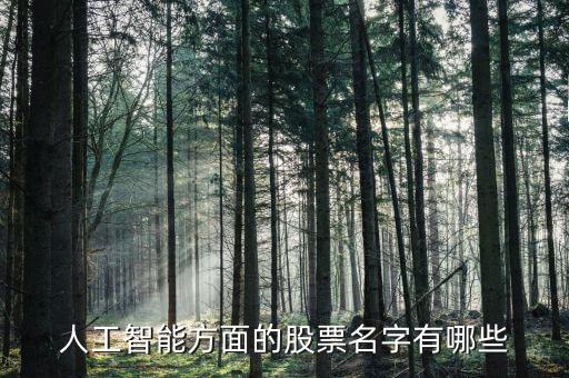 人工智能方面的股票名字有哪些