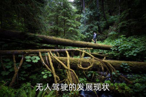 無(wú)人駕駛的發(fā)展現(xiàn)狀
