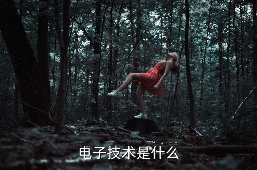 電子技術(shù)是什么