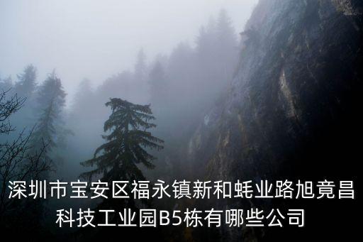 深圳市寶安區(qū)福永鎮(zhèn)新和蠔業(yè)路旭竟昌科技工業(yè)園B5棟有哪些公司