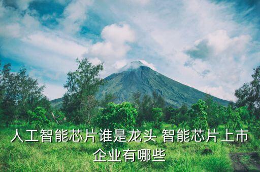 人工智能芯片誰是龍頭 智能芯片上市企業(yè)有哪些