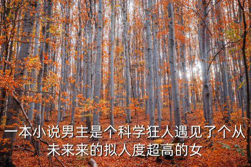 一本小說男主是個科學(xué)狂人遇見了個從未來來的擬人度超高的女