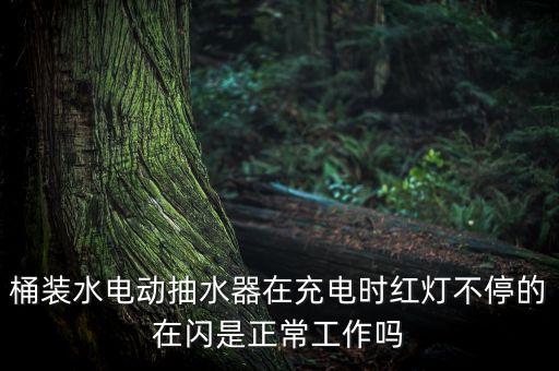 桶裝水自動抽水器，不想買飲水機(jī)有沒有能直接從桶裝水里抽水喝的設(shè)備