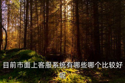 智能客服系統(tǒng)排行榜，公司最近想換一個在線客服系統(tǒng)不知道哪個好請大家推薦幾款謝