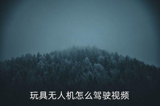 玩具無人機怎么駕駛視頻