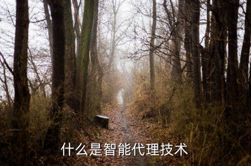 什么是智能代理技術(shù)