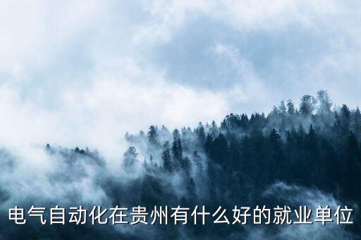 電氣自動化在貴州有什么好的就業(yè)單位