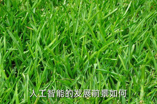 人工智能的未來發(fā)展?fàn)顩r，人工智能未來的發(fā)展前景怎么樣