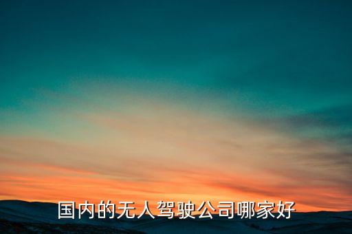 國內(nèi)的無人駕駛公司哪家好
