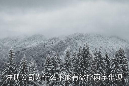 微控智能自動(dòng)化設(shè)備，注冊(cè)公司為什么不能有微控兩字出現(xiàn)