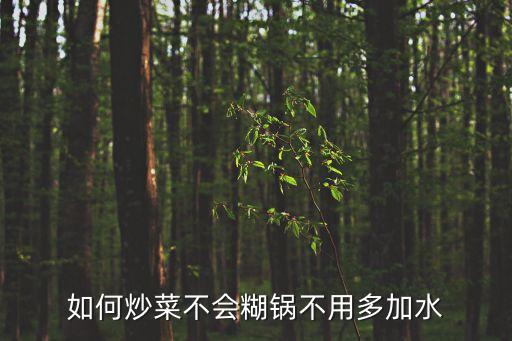 如何炒菜不會糊鍋不用多加水