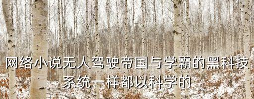 網(wǎng)絡(luò)小說無人駕駛帝國與學(xué)霸的黑科技系統(tǒng)一樣都以科學(xué)的