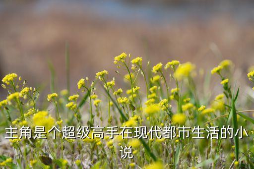 主角是個(gè)超級高手在現(xiàn)代都市生活的小說