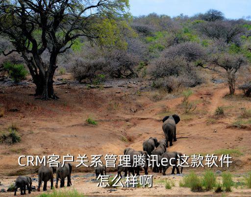 CRM客戶關(guān)系管理騰訊ec這款軟件怎么樣啊
