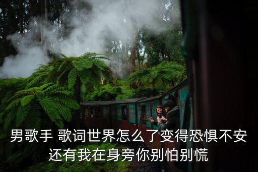 男歌手 歌詞世界怎么了變得恐懼不安還有我在身旁你別怕別慌