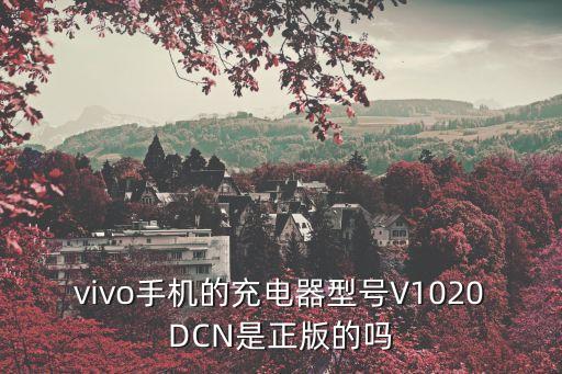 vivo手機(jī)的充電器型號(hào)V1020DCN是正版的嗎