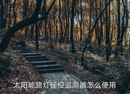太陽能路燈遙控監(jiān)測器怎么使用