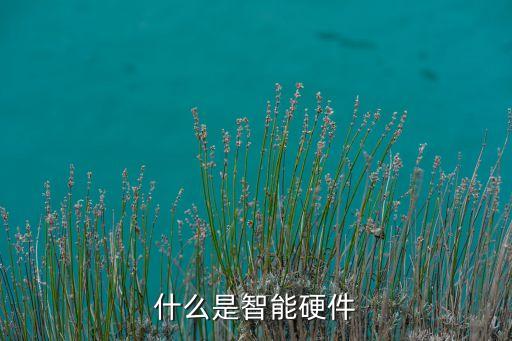 什么是智能硬件
