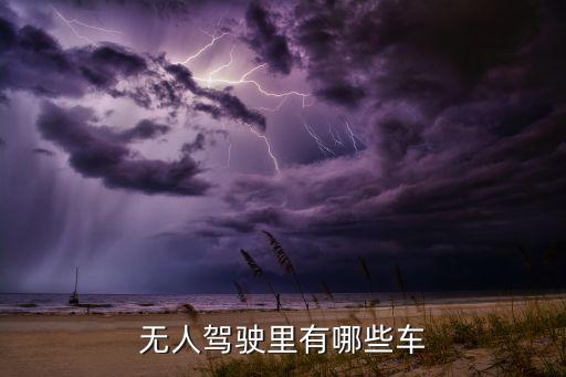 無人駕駛里有哪些車