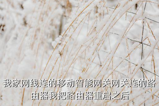 移動智能家庭網(wǎng)關(guān)h38s，中國移動智能家庭網(wǎng)關(guān)改完密碼之后官網(wǎng)失聯(lián)怎么回事