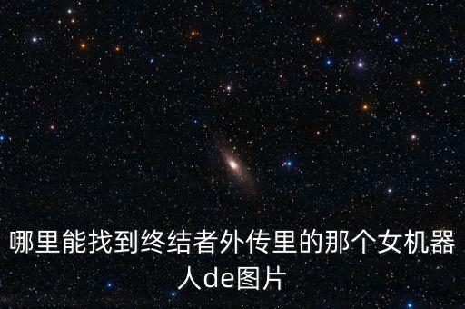 女人機(jī)器人圖片，我想要終結(jié)者外傳中那個(gè)女機(jī)器人卡梅隆的照片
