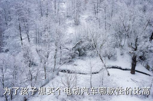 為了孩子想買個(gè)電動(dòng)汽車哪款性價(jià)比高